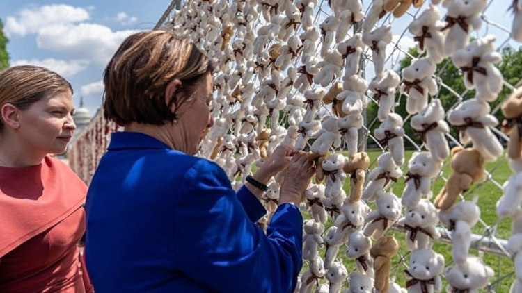 Θάλασσα από 20.000 λούτρινα αρκουδάκια στις ΗΠΑ για τα απαχθέντα παιδιά της Ουκρανίας

