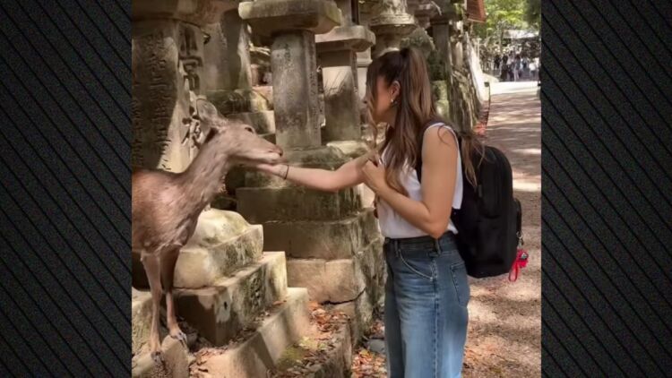 Η Αποστολία Ζώη χάιδεψε ελάφι στην Ιαπωνία: Έφυγα πιο πλούσια