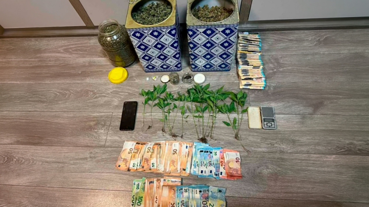 Συνελήφθη οικογένεια που καλλιεργούσε φυτά κάνναβης και διακινούσε ναρκωτικά στα Ιωάννινα, δείτε βίντεο