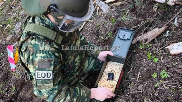 Ξυλοκόποι εντόπισαν χειροβομβίδα σε δάσος  έξω από το χωριό Νόστιμο Ευρυτανίας
