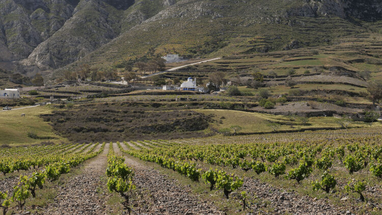 Όταν το οινοποιείο γίνεται προορισμός
