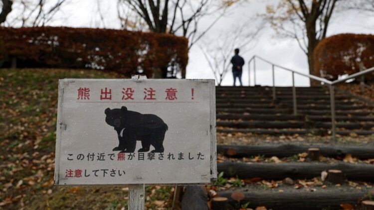 Οι αρκούδες ξυπνούν από τη χειμερία νάρκη και η Ιαπωνία προετοιμάζεται για νέο κύμα επιθέσεων
