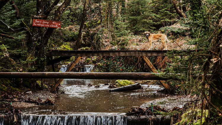4 ανοιξιάτικες αποδράσεις κοντά στην Αθήνα