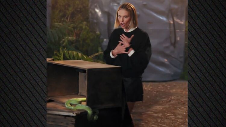 Σαρλίζ Θερόν: Τα ουρλιαχτά της όταν άγγιξε φίδι σε challenge του Netflix, δείτε βίντεο