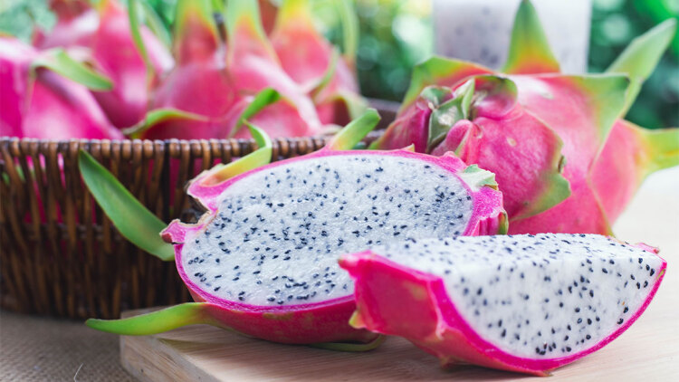 Ξυλουργός φύτεψε 450 δέντρα και παράτησε τη δουλειά του για να ζήσει αποκλειστικά από αυτό: «Είμαι 100% αυτάρκης»