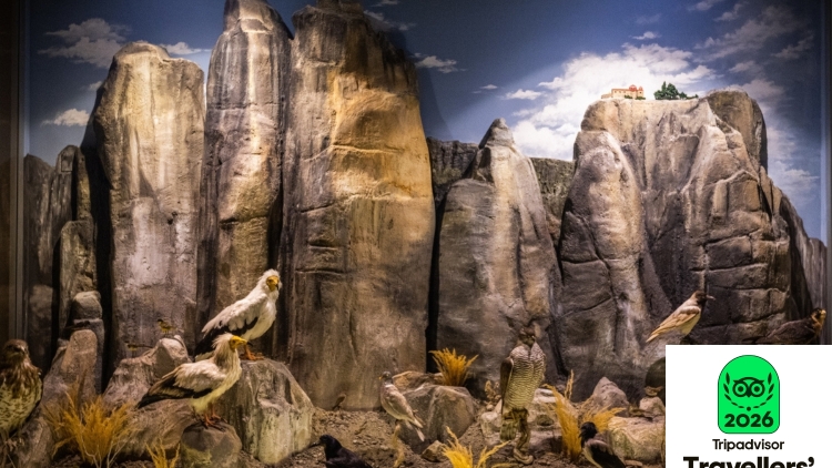 Διεθνής διάκριση για το Μουσείο Φυσικής Ιστορίας Μετεώρων και Μουσείο Μανιταριών - Πέμπτο στην Ευρώπη ανάμεσα σε 1423 Μουσεία