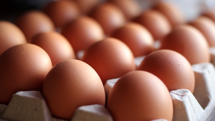 7 μύθοι για τα αυγά που πολλοί πιστεύουν ακόμα – Τι κάνουμε λάθος κάθε μέρα
