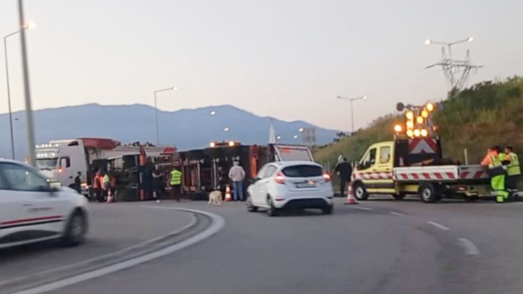 Αντίρριο: Ανατροπή νταλίκας στην έξοδο της γέφυρας, γέμισε ο δρόμος με ξυλεία, δείτε βίντεο