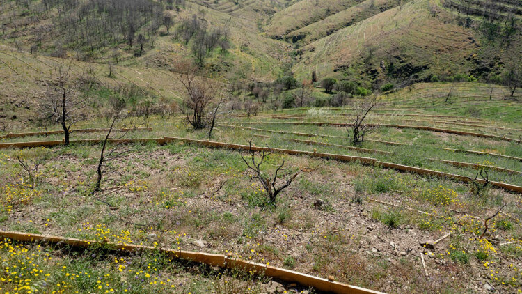 Σε πλήρη εξέλιξη τα αντιπλημμυρικά έργα στη Χίο μετά τις πυρκαγιές του 2025