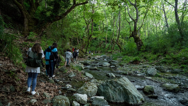 
Οι κορυφαίες εμπειρίες στον Κίσσαβο: Η Φύση, τα αξιοθέατα, τα γραφικά χωριά