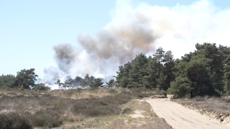Εκκενώθηκε το αεροδρόμιο Κέμπεν στην Ολλανδία λόγω πυρκαγιάς κοντά σε στρατιωτικό κέντρο
