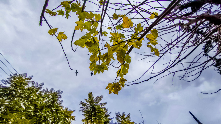 Αλλάζει ο καιρός: Βροχές και πτώση της θερμοκρασίας μετά το μεσημέρι, η πρόγνωση για την Πρωτομαγιά
