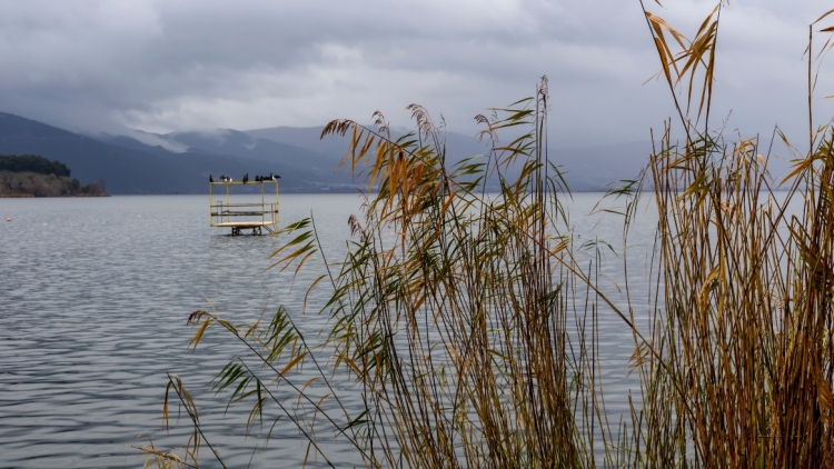 Επτά στις δέκα περιοχές Natura προστατεύονται από ΕΠΜ: Τι σηματοδοτεί η απόφαση για τα Ιωάννινα