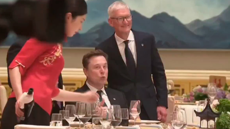 musk-cook-hor