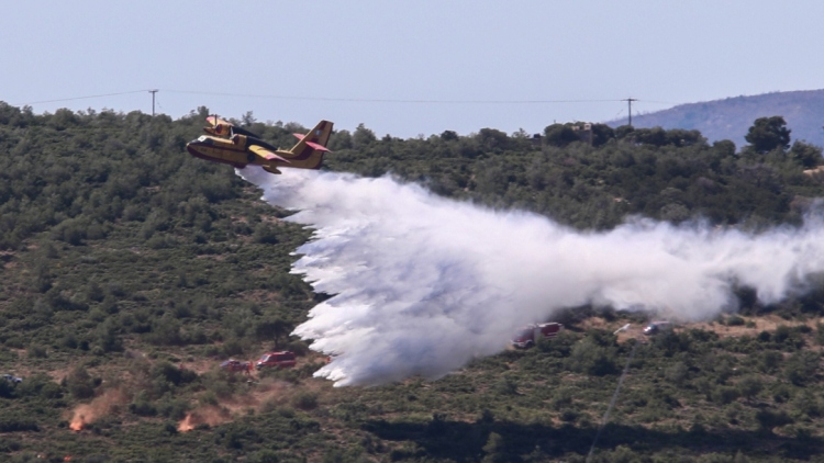 Καναντέρ, δασοκομάντος, drones, ερπυστριοφόρα: Μεγάλη άσκηση της Πυροσβεστικής στη Μάνδρα, δείτε βίντεο
