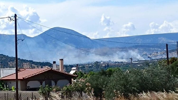 Φωτιά στα Καλύβια: Μεγάλη κινητοποίηση της Πυροσβεστικής, δείτε βίντεο