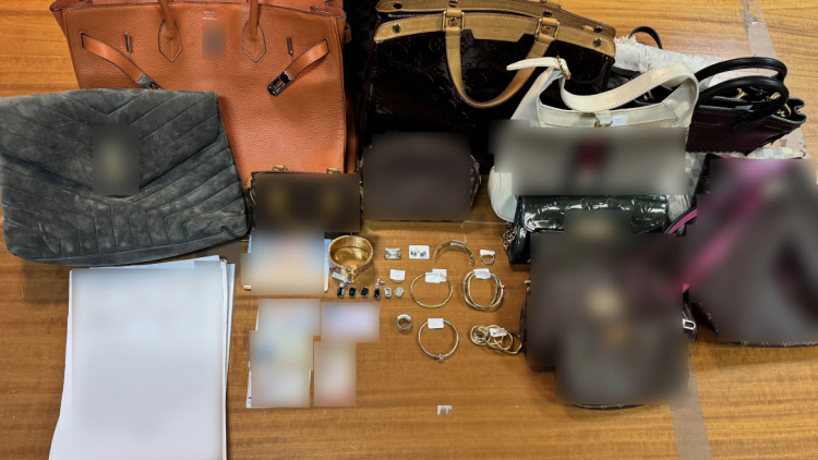 Εξαρθρώθηκε κύκλωμα «εγκληματικού τουρισμού» με δράση σε Αττική και εξωτερικό, πάνω από 1,5 εκατ. ευρώ η λεία 
