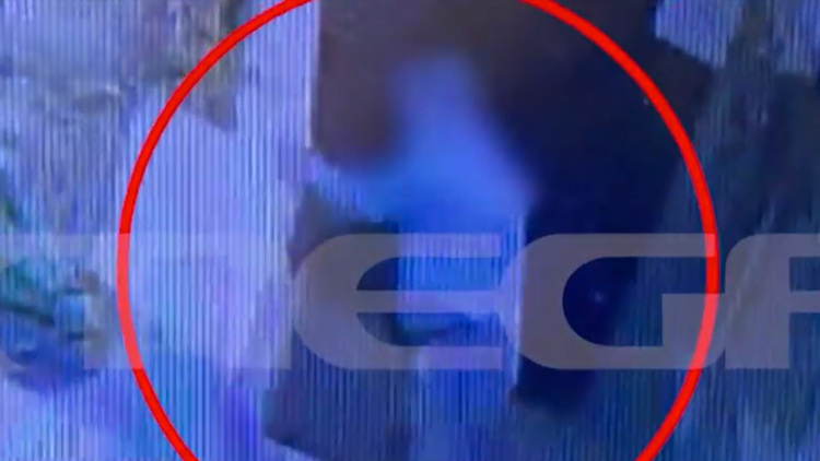 Πρώην αντιδήμαρχος Κρήτης κατηγορείται ότι σκότωσε γατάκι - Τι φέρεται να υποστηρίζει ο ίδιος για το βίντεο που τον έχει καταγράψει