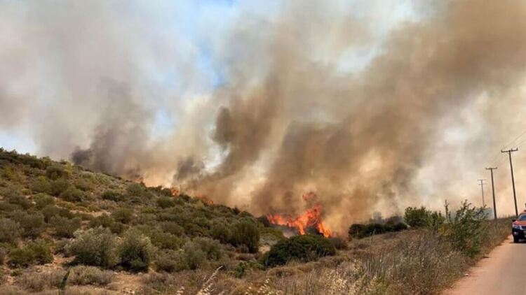 Πυρκαγιές: 365 πρόστιμα και 60 συλλήψεις μέσα σε πέντε μήνες - Το 90% αφορά εμπρησμούς από αμέλεια