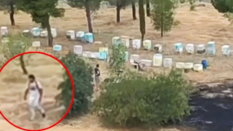 Μελισσοκόμος απομακρύνεται από τα μελίσσια αφού οριοθετήθηκε η φωτιά στο Άλσος Βεΐκου, ταυτοποιήθηκε και αναζητείται