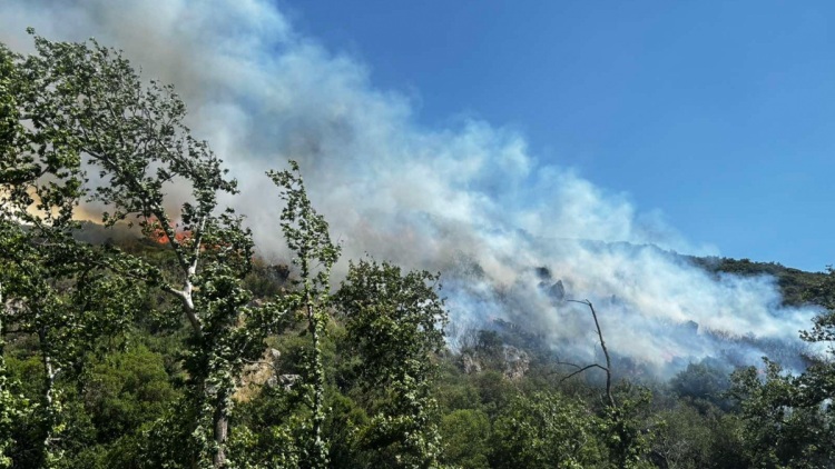 Τουρνάς: H απειλή τη φετινή αντιπυρική περίοδο είναι η συσσωρευμένη καύσιμη ύλη