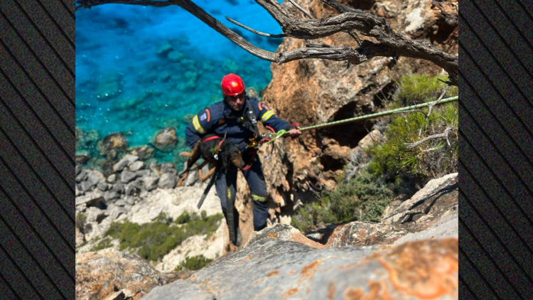 Η Πυροσβεστική έσωσε σκύλο που έπεσε σε γκρεμό παραλίας στη Ζάκυνθο
