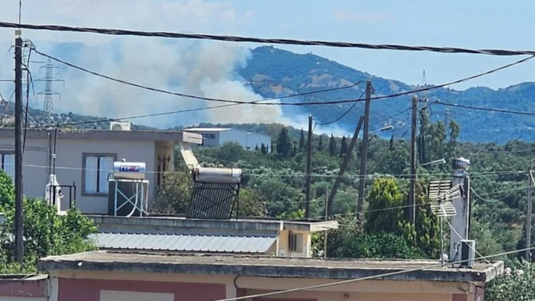 Φωτιά σε δασική έκταση στα Ζησιμαίικα Αχαΐας – Στην μάχη και εναέρια μέσα