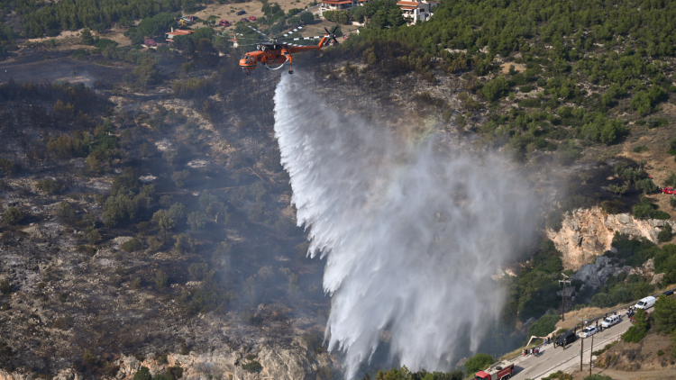 Τρεις συλλήψεις για πυρκαγιές από αμέλεια σε Ηλεία, Κιλκίς και Εύβοια
