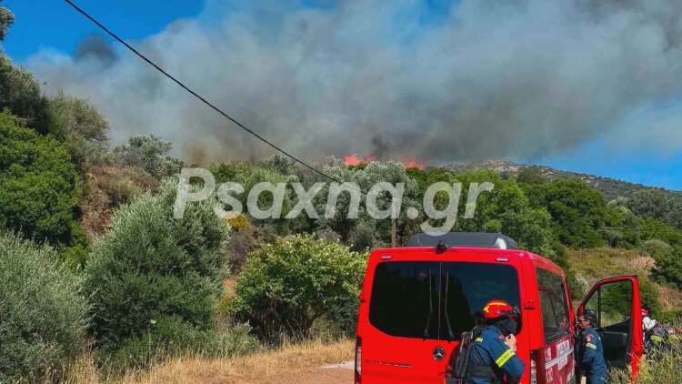 Φωτιά σε δάσος στον Αλμυροπόταμο Ευβοίας: Μήνυμα του 112 για ετοιμότητα, επιχειρούν και αεροπλάνα
