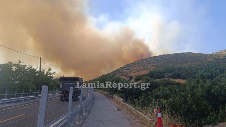 Έκλεισε η Αθηνών - Λαμίας λόγω της φωτιάς στο Ακραίφνιο Βοιωτίας: Επιχειρούν 10 αεροσκάφη και 2 ελικόπτερα