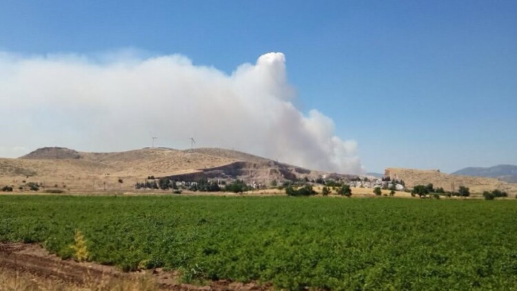 Φωτιά στο Ακραίφνιο Βοιωτίας, επιχειρούν 7 αεροσκάφη και 1 ελικόπτερο - 112 για ετοιμότητα