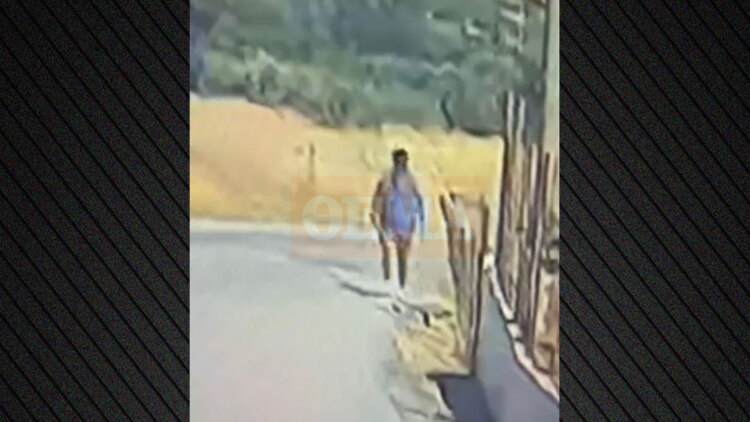 «Έβαλα τις φωτιές στην Κερατέα για να μην ξεσπάσω στα παιδιά μου»: Ντοκουμέντα από τις κινήσεις της 43χρονης που συνελήφθη για εμπρησμό