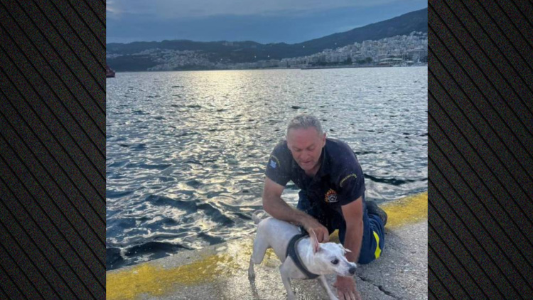 Πυροσβέστης έσωσε σκύλο που πάλευε εξαντλημένος στη θάλασσα στην Καβάλα