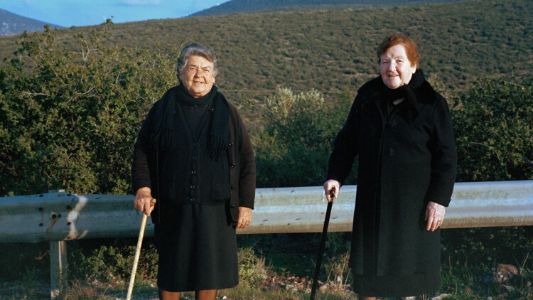 Polichnitos Cultural Festival Lesvos: 30 καλλιτέχνες από περισσότερες από 10 χώρες συναντώνται στη Λέσβο