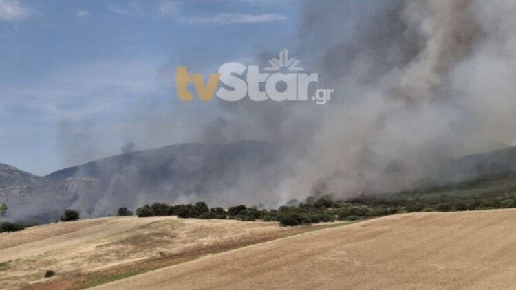 Ανεξέλεγκτη η φωτιά στον Ορχομενό, ενισχύθηκαν οι δυνάμεις: Επιχειρούν 7 αεροσκάφη και 3 ελικόπτερα