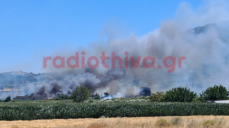 Μεγάλη φωτιά στην Πέτρα Βοιωτίας, μήνυμα 112 «απομακρυνθείτε προς Λιβαδειά», σηκώθηκαν εναέρια μέσα, δείτε βίντεο