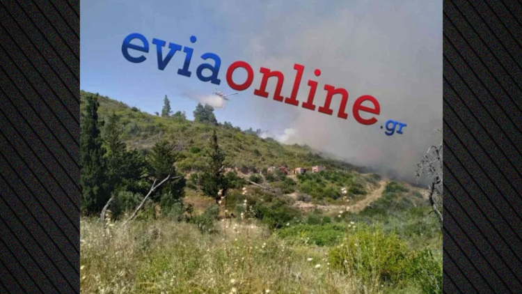 Φωτιά τώρα σε δάσος στο Σπαθάρι Ευβοίας, σηκώθηκαν 11 εναέρια, δείτε βίντεο