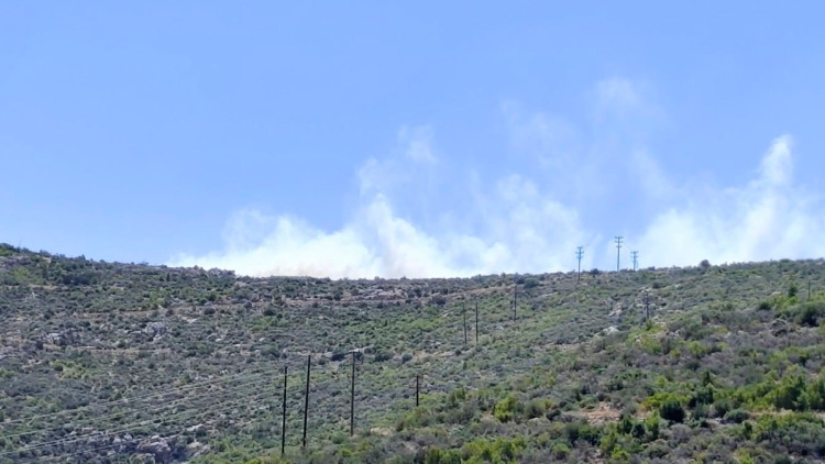 Φωτιά τώρα στη Βοιωτία και μήνυμα από το 112, σηκώθηκαν εναέρια μέσα