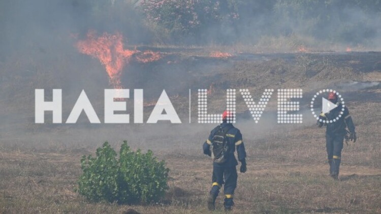 Ανεξέλεγκτη η φωτιά στη Βάρδα Ηλείας: Επιχειρούν 4 εναέρια