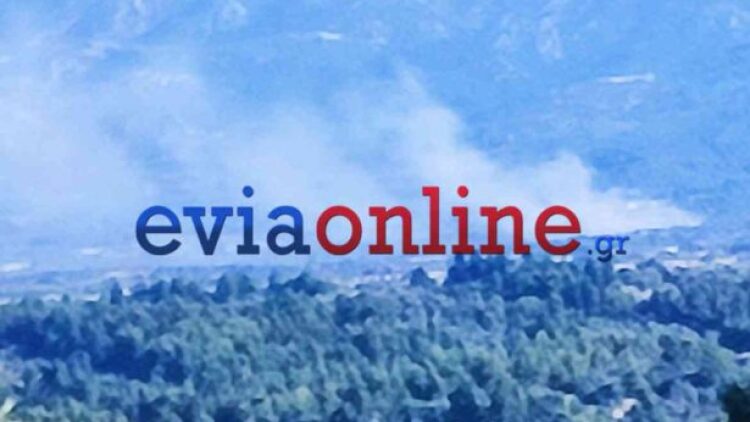 Φωτιά σε αγροτοδασική έκταση στη Λούτσα Ευβοίας, στη μάχη πέντε εναέρια μέσα
