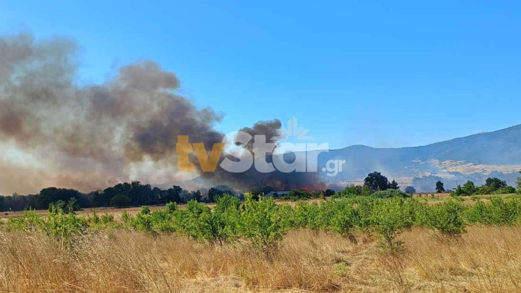 Φωτιά τώρα στη Μαριολάτα Φωκίδας, σηκώθηκαν τρία εναέρια