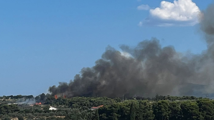 Φωτιά τώρα σε αγροτοδασική  έκταση στην Κυρά Βρύση Κορινθίας, κινητοποίηση της Πυροσβεστικής, δείτε βίντεο