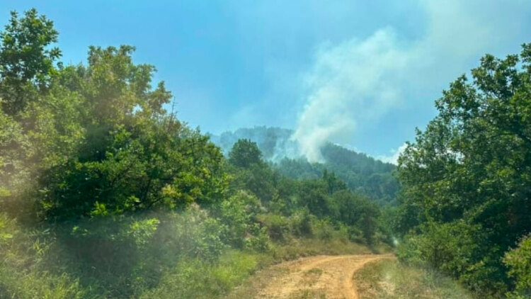 Φωτιά στα Κανάλια Μουζακίου, σηκώθηκαν 5 εναέρια 