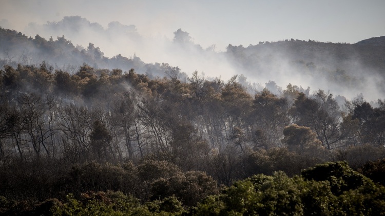Meteo: Η φωτιά στην Οινόη δημιούργησε τον δικό της καιρό