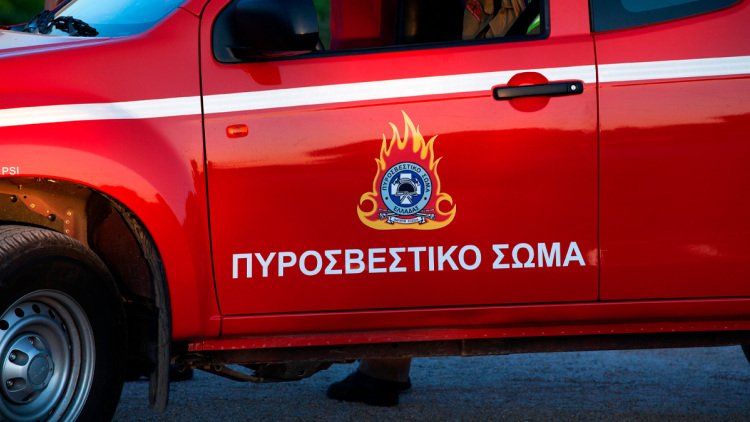 Συνελήφθησαν δύο ανήλικοι στην Ερέτρια, έριξαν κροτίδες και προκάλεσαν φωτιά