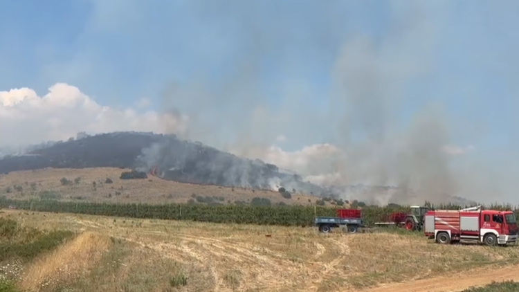 Φωτιά στον Αργυρόμυλο Λάρισας: Ενισχύθηκαν οι δυνάμεις, επιχειρούν 90 πυροσβέστες με 7 εναέρια, δείτε βίντεο