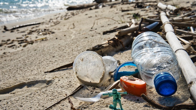 WWF: Οι ελληνικές παραλίες εξακολουθούν να «πνίγονται» από πλαστικά, τα αποτσίγαρα παραμένουν το συχνότερο εύρημα
