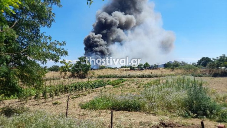 Φωτιά στο Καλοχώρι Θεσσαλονίκης, δείτε βίντεο