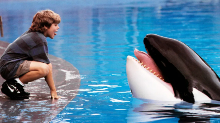 Η Warner Bros ετοιμάζει reboot του «Free Willy»