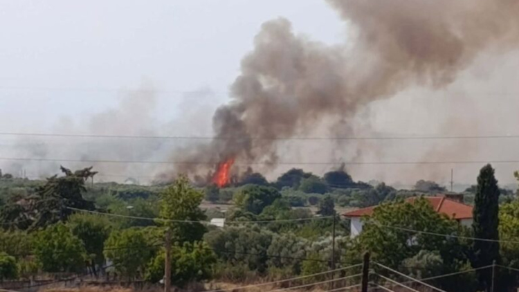 Φωτιά στη Σουρωτή Θεσσαλονίκης: 112 για εκκένωση, 2 εναέρια στη μάχη
